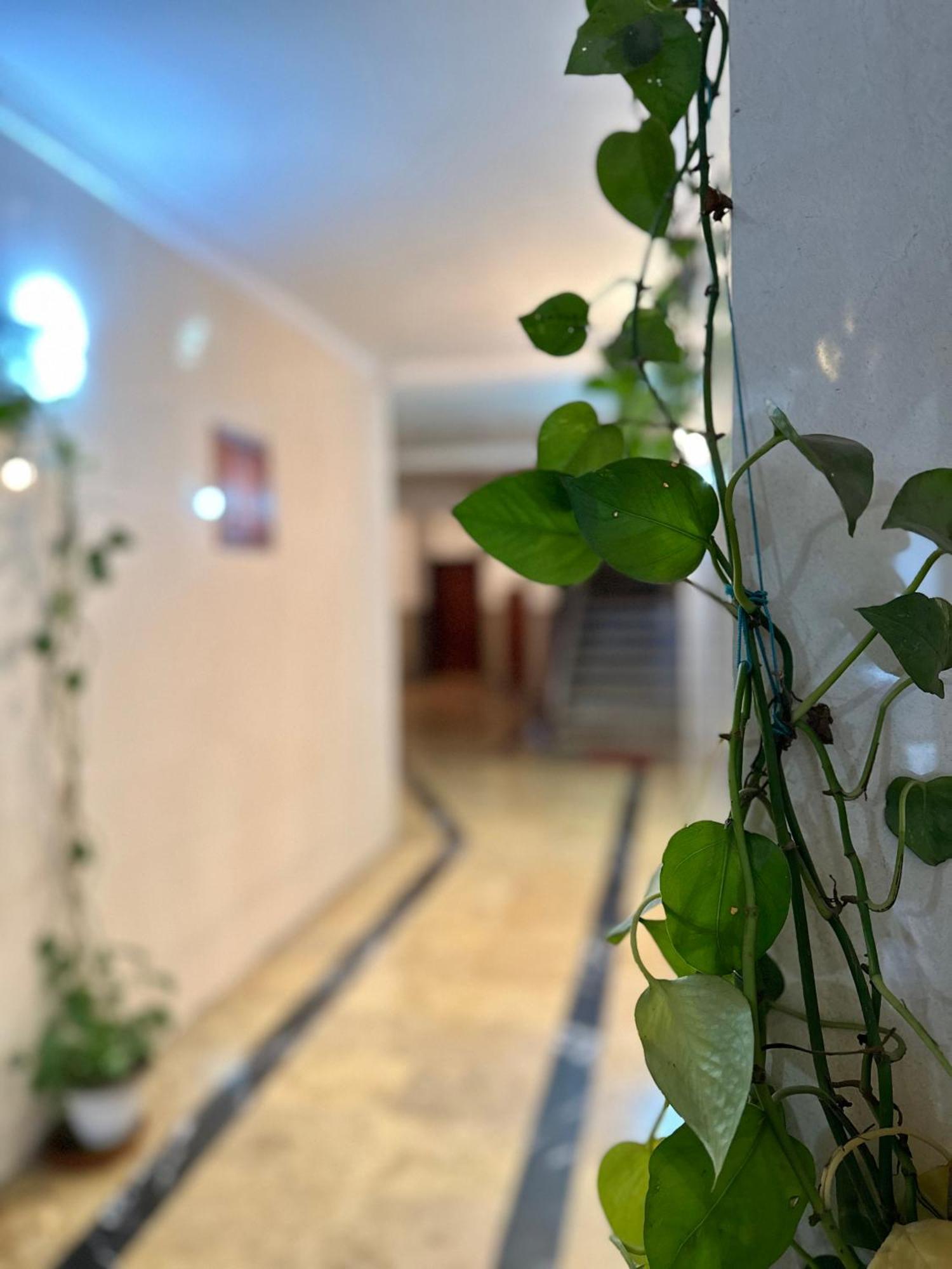 Casa Central Tetouan Exterior photo